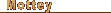 Mottey(���b�e�B)